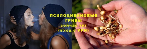 MDMA Premium VHQ Богородицк
