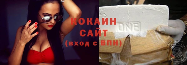 соль ск Инсар