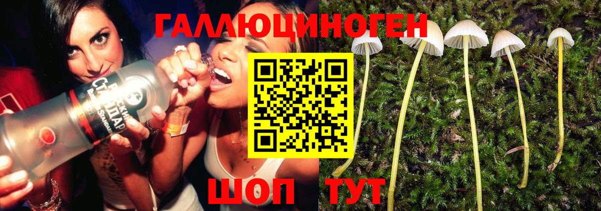 Гулькевичи  Галлюциногенные грибы Magic Shrooms  Псилоцибиновые грибы прущие грибы  Вход с VPN 